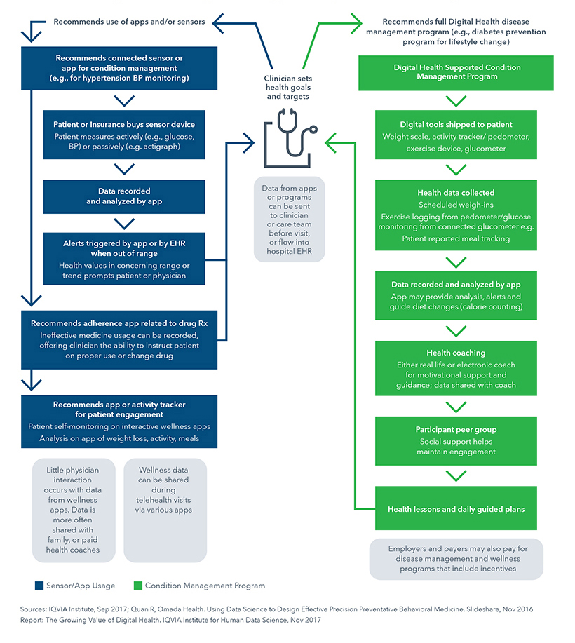 Iqvia Organizational Chart