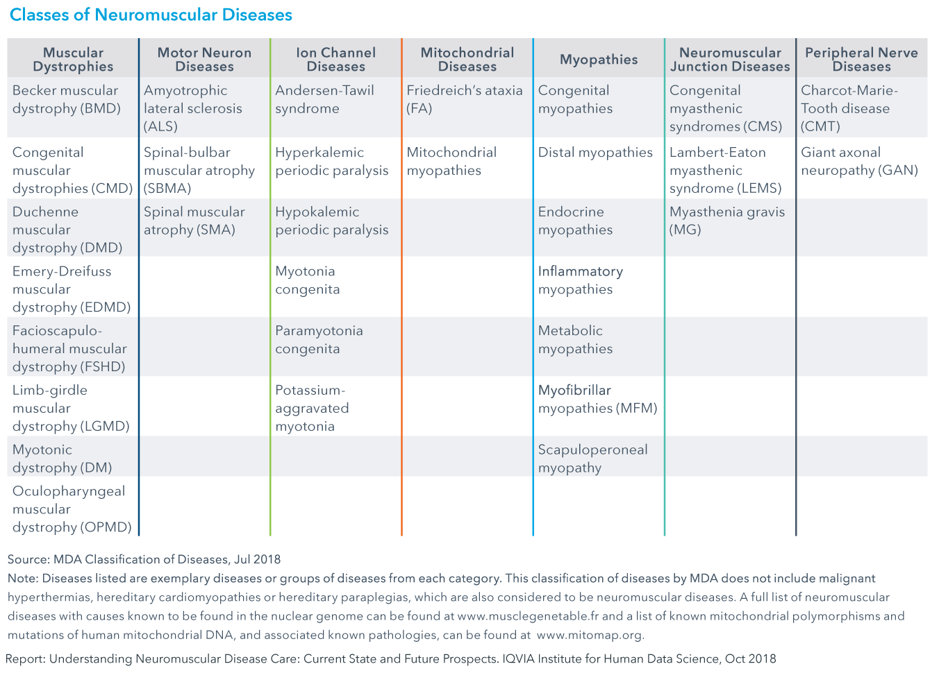 Neuromuscular Charting