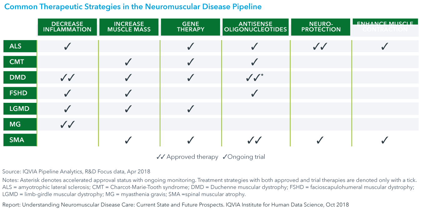 Neuromuscular Charting