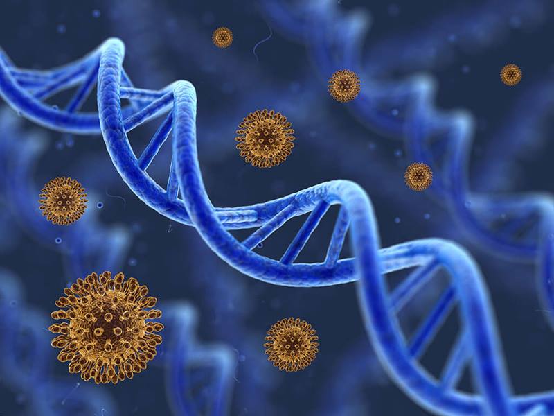 The Human Data Science Company cell and gene therapy